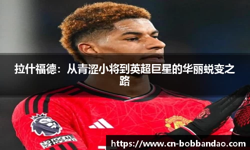 BOB半岛